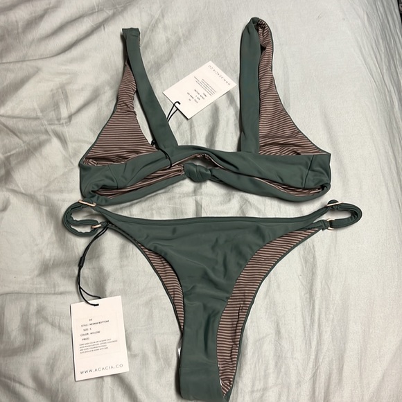 Acacia bikini - Picture 10 of 10